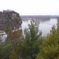 Plum Island Sanctuary