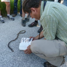 Geoff Willliamson Kankakee Sands