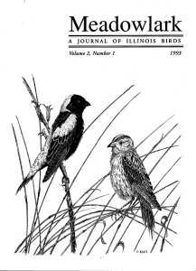 Screen Shot 2015-01-26 at 5.12.48 PM