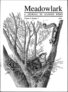 Screen Shot 2015-01-28 at 3.59.55 PM