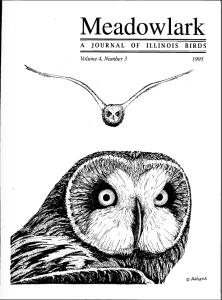 Screen Shot 2015-01-28 at 7.07.17 PM