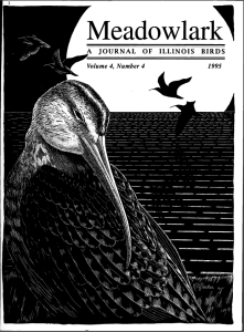 Screen Shot 2015-01-28 at 7.17.53 PM