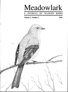 Screen Shot 2015-01-29 at 1.05.33 PM