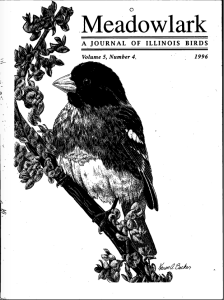 Screen Shot 2015-01-29 at 1.31.19 PM