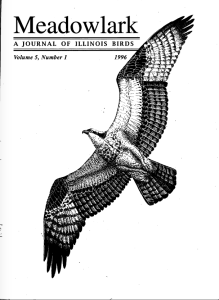 Screen Shot 2015-01-29 at 12.45.01 PM