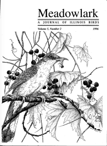 Screen Shot 2015-01-29 at 12.55.04 PM