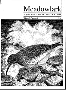 Screen Shot 2015-01-29 at 2.19.48 PM