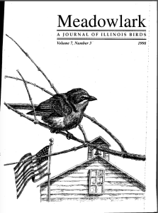 Screen Shot 2015-01-29 at 2.26.55 PM