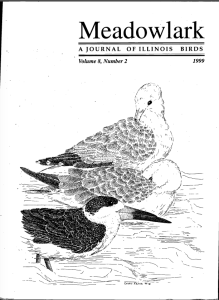 Screen Shot 2015-01-29 at 3.00.22 PM