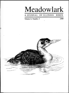 Screen Shot 2015-01-29 at 3.08.56 PM