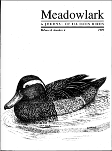 Screen Shot 2015-01-29 at 3.17.25 PM