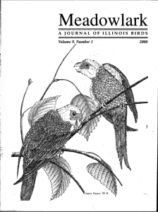 Screen Shot 2015-01-29 at 3.26.48 PM