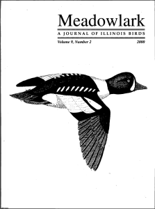 Screen Shot 2015-01-29 at 3.34.56 PM