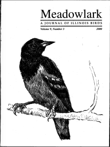 Screen Shot 2015-01-29 at 3.41.34 PM