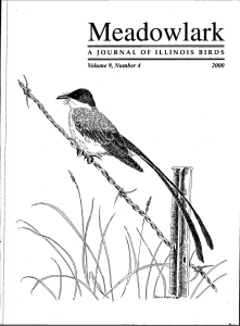 Screen Shot 2015-01-29 at 3.47.26 PM