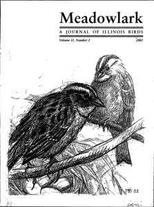 Screen Shot 2015-01-29 at 7.03.10 PM