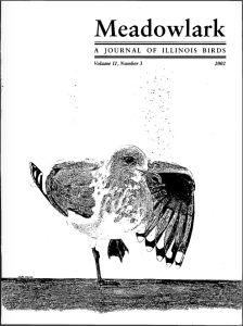 Screen Shot 2015-01-29 at 7.13.06 PM