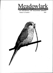 Screen Shot 2015-01-30 at 10.03.28 AM