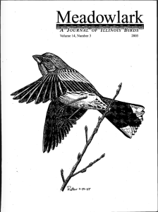 Screen Shot 2015-01-30 at 3.21.15 PM