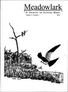 Screen Shot 2015-01-30 at 3.35.20 PM