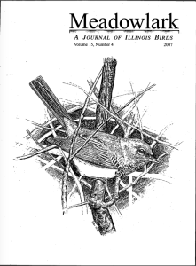 Screen Shot 2015-01-30 at 4.11.02 PM