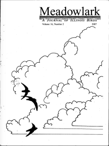 Screen Shot 2015-01-30 at 4.30.06 PM