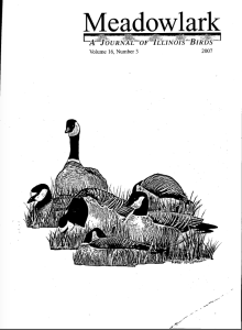 Screen Shot 2015-01-30 at 4.36.46 PM