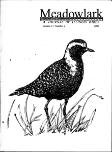 Screen Shot 2015-01-30 at 4.58.12 PM