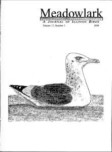 Screen Shot 2015-01-30 at 5.15.25 PM