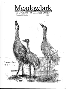 Screen Shot 2015-01-30 at 5.42.57 PM