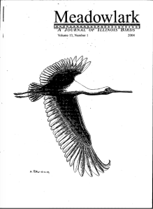 Screen Shot 2015-01-30 at 9.32.58 AM