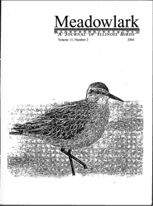 Screen Shot 2015-01-30 at 9.41.46 AM