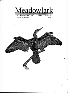 Screen Shot 2015-02-01 at 11.50.20 AM