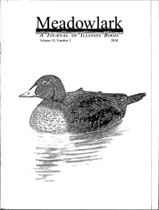 Screen Shot 2015-02-01 at 12.02.38 PM