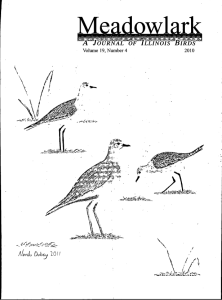 Screen Shot 2015-02-01 at 12.10.13 PM